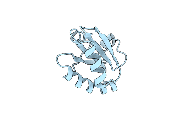 2O87 image