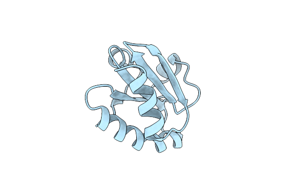 2O89 image
