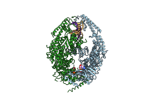 2O8B image