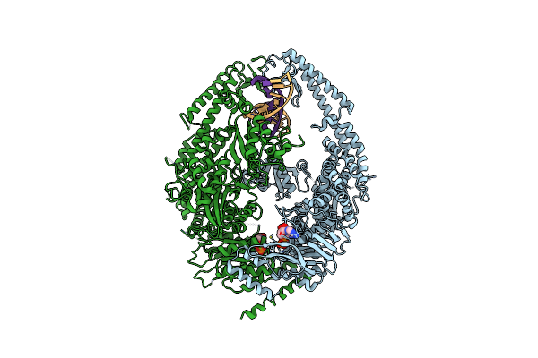 2O8C image
