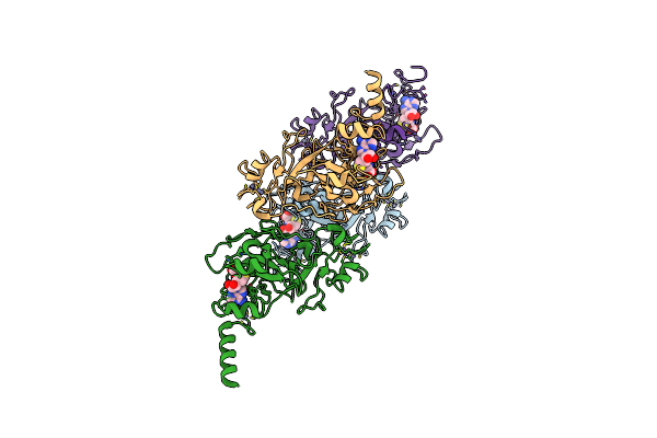 2O8J image
