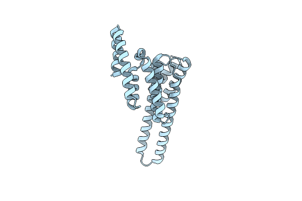 2O8P image