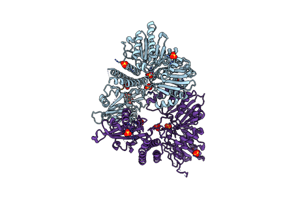 2O8R image