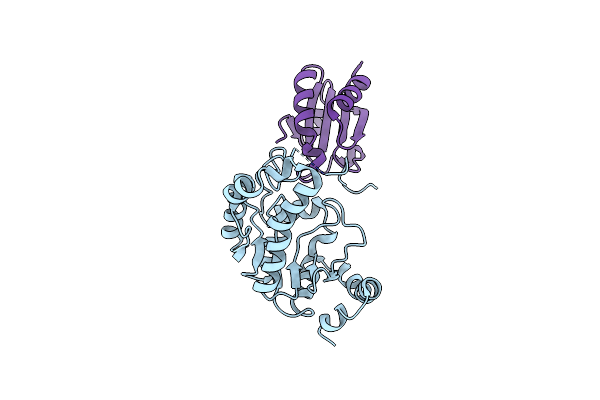 2O8V image