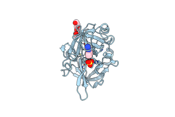 2O8W image