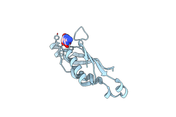 2O90 image