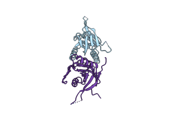 2O96 image