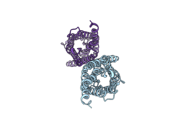 2O9F image
