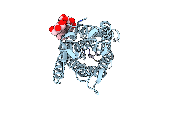 2O9G image