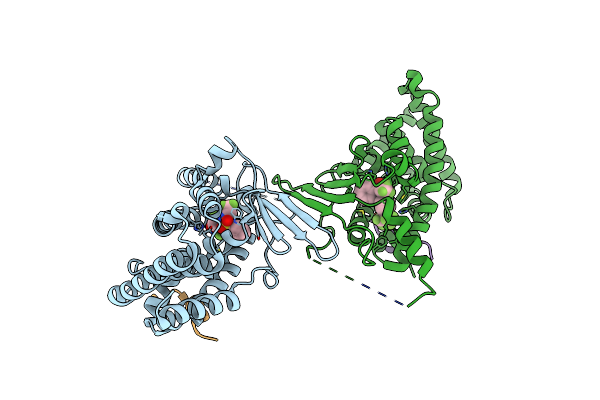 2O9I image