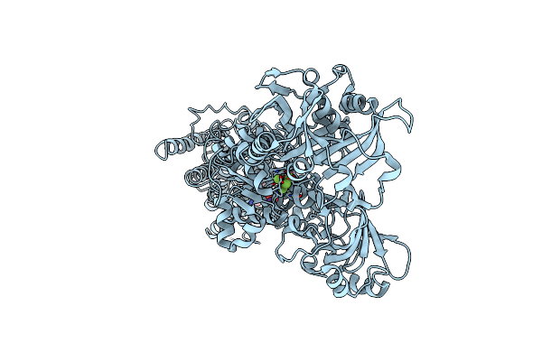 2O9J image