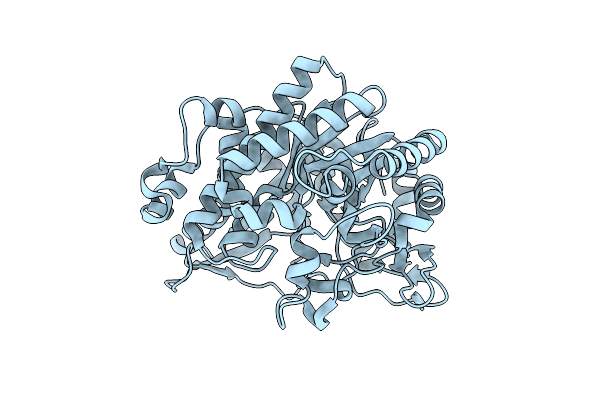 2O9P image
