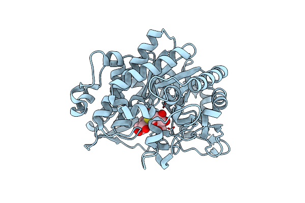 2O9R image