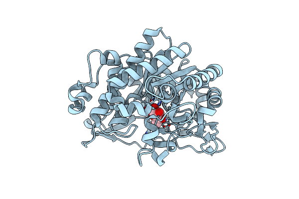 2O9T image