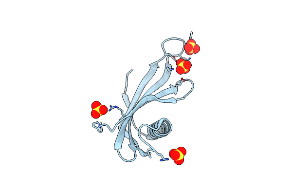 2O9U image