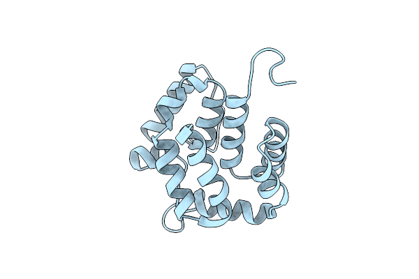 2O9X image