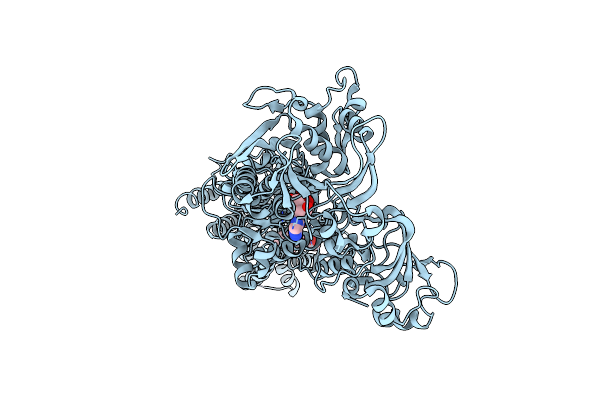2OA0 image