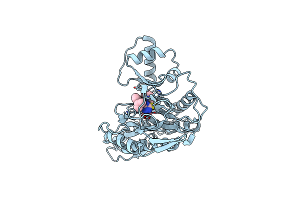 2OAZ image