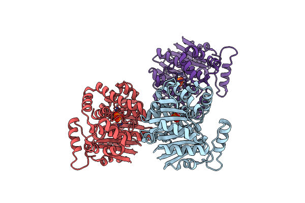 2OB1 image