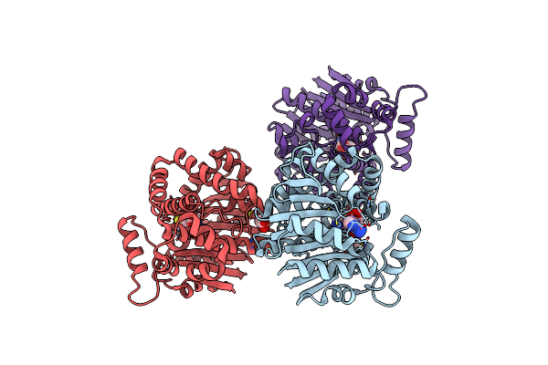 2OB2 image