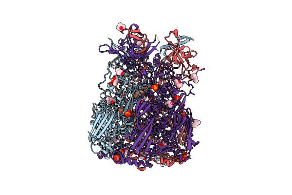 2OBE image