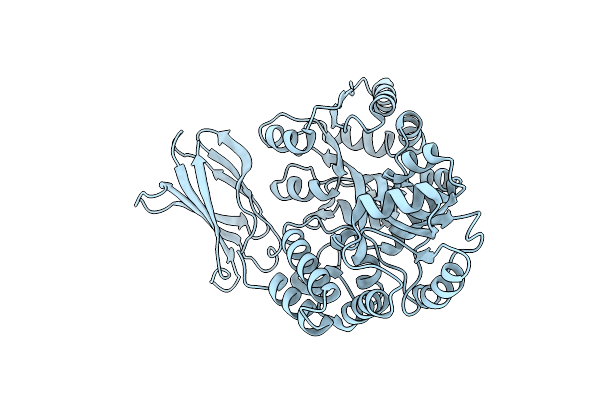 2OBG image