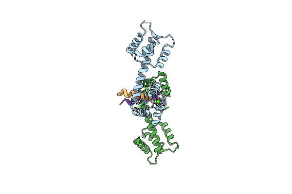 2OBH image