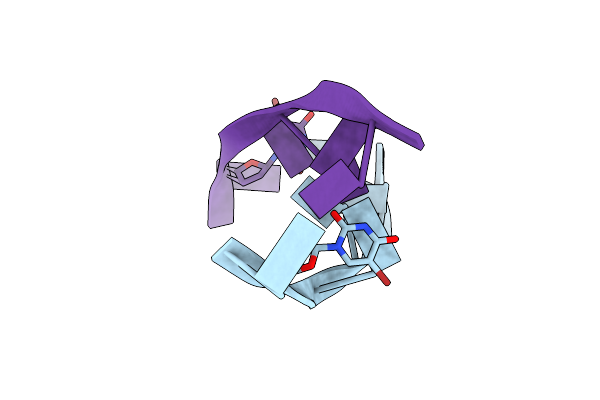 2OBZ image