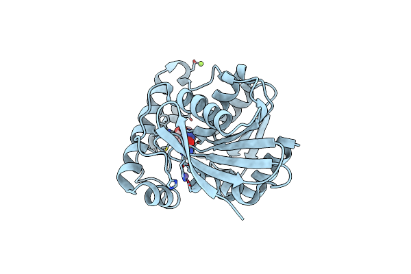 2OCI image