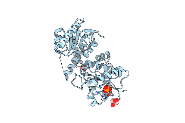 2OCX image