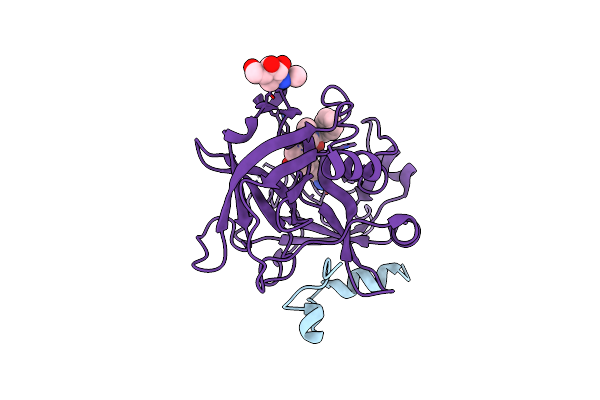 2OD3 image
