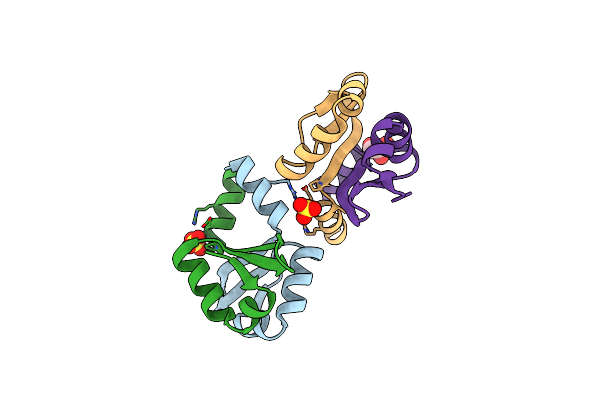 2ODK image