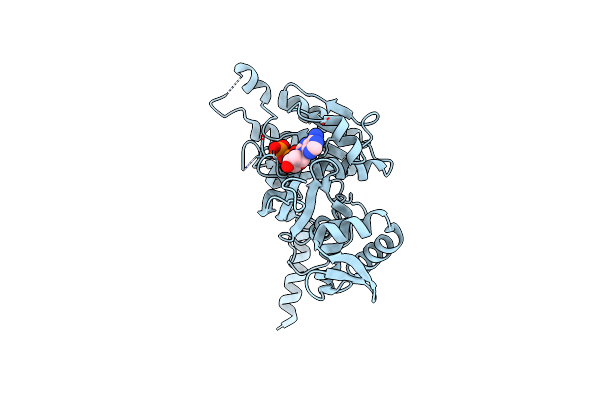 2ODN image