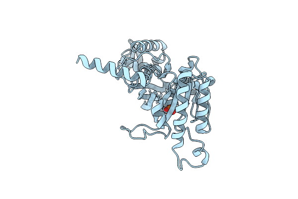 2OE2 image
