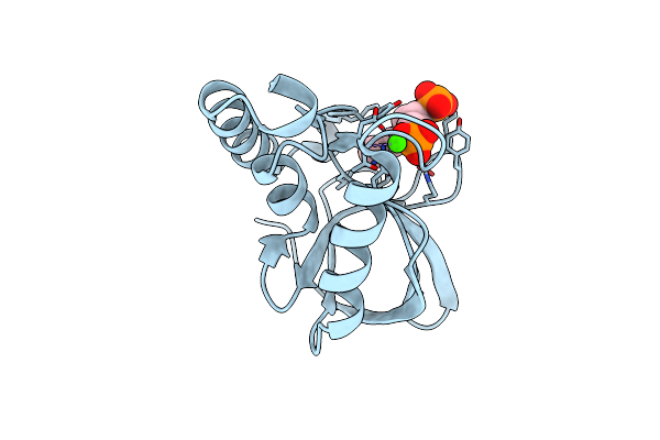 2OEO image
