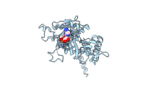 2OEP image