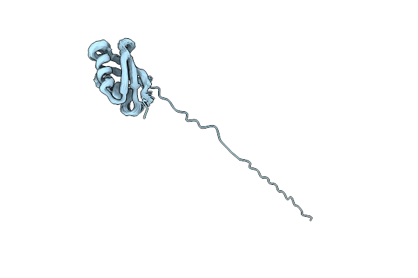 2OFG image