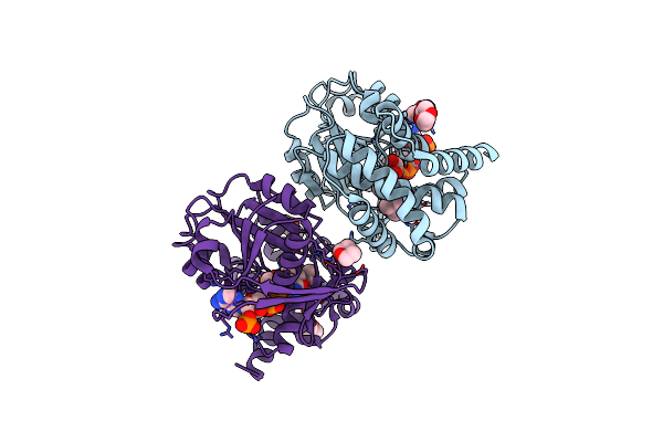 2OFP image