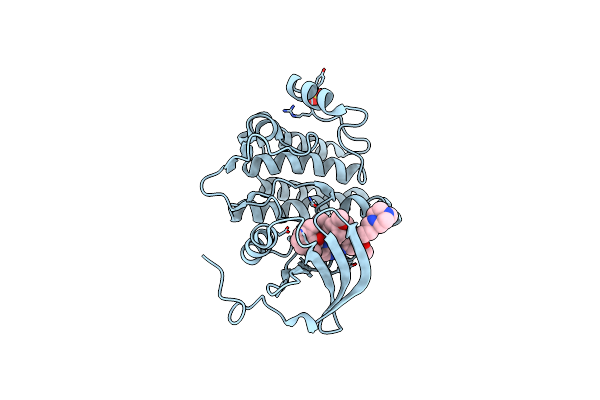 2OFU image