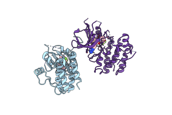 2OFV image