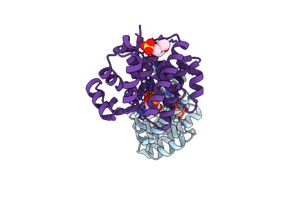 2OGI image