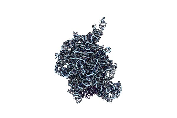 2OGM image