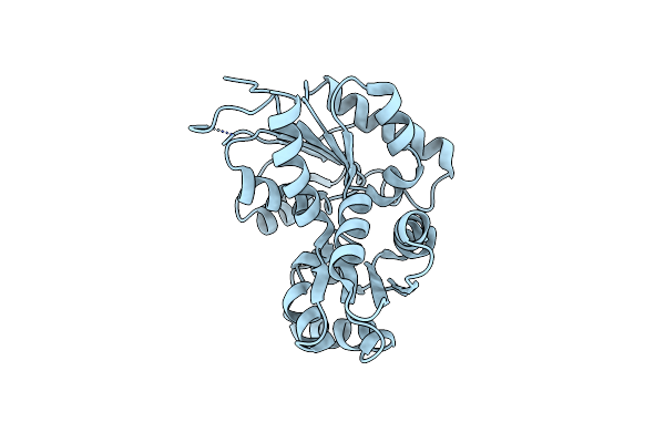 2OHG image