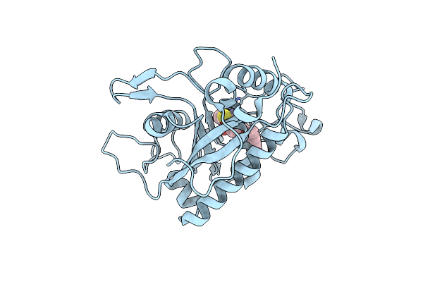 2OI0 image