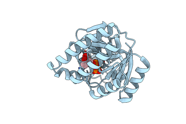 2OI2 image