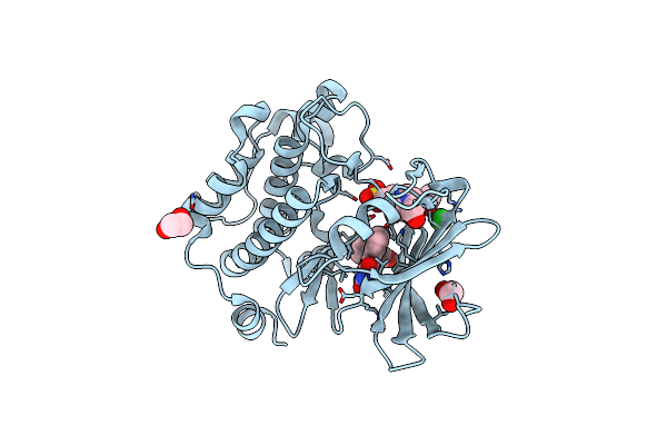 2OI4 image