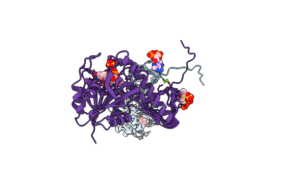 2OI5 image