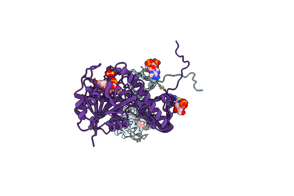 2OI6 image