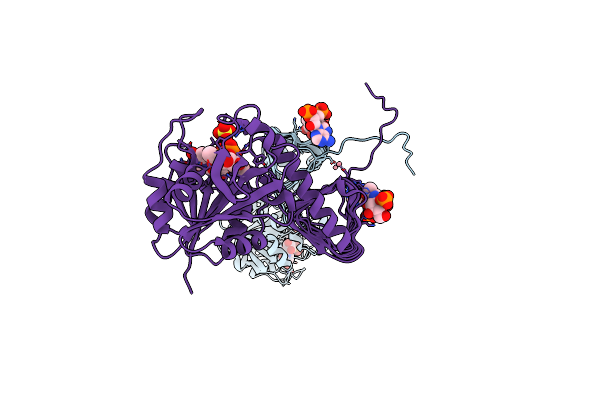2OI7 image