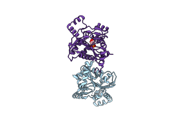 2OKG image